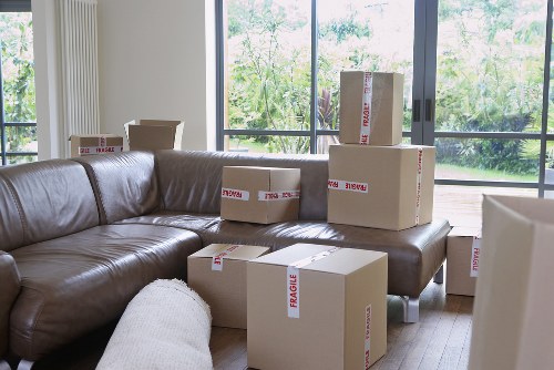 Careful wrapping of fragile household items for moving